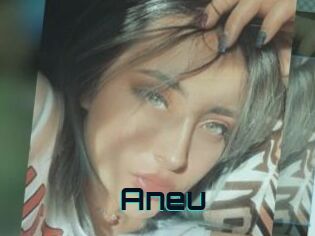 Aneu