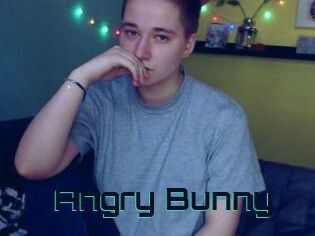 Angry_Bunny