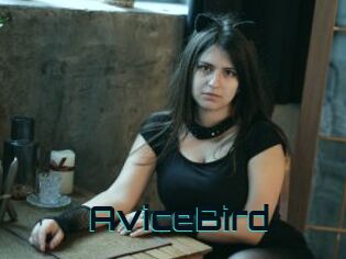 AviceBird