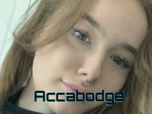 Accabodge