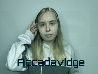 Accadavidge