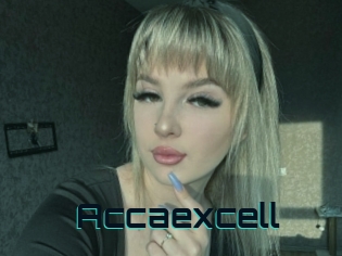 Accaexcell