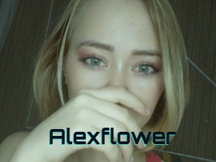 Alexflower