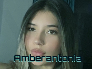 Amberantonia