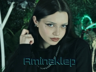 Aminaklep