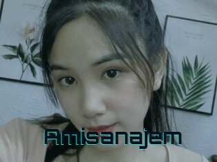 Amisanajem