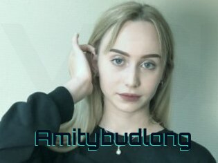 Amitybudlong