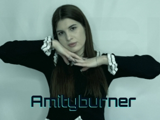 Amityburner