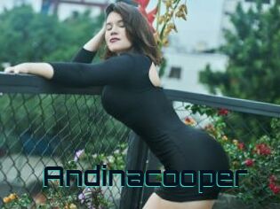 Andinacooper