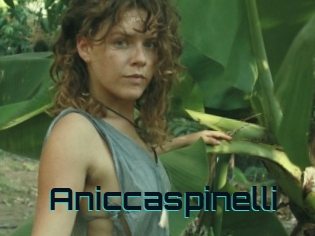 Aniccaspinelli