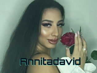 Annitadavid