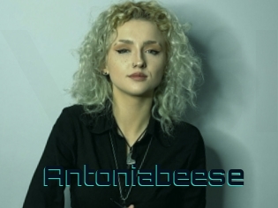 Antoniabeese