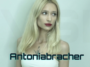 Antoniabracher