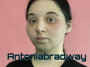 Antoniabradway