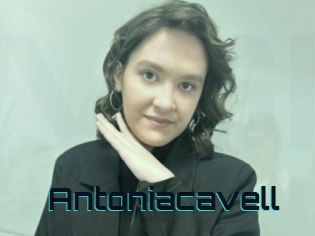 Antoniacavell