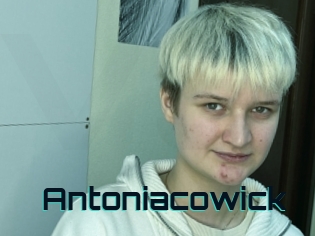 Antoniacowick