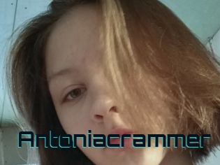 Antoniacrammer