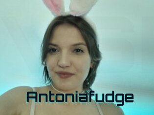 Antoniafudge