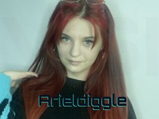 Arieldiggle