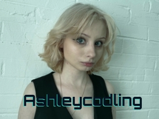 Ashleycodling