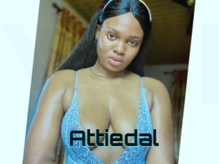 Attiedal