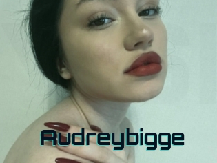 Audreybigge