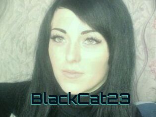 BlackCat23