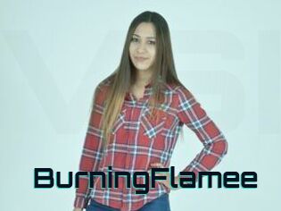 BurningFlamee