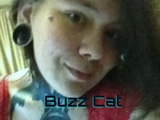 Buzz_Cat