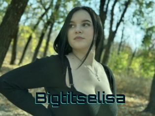 Bigtitselisa