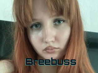 Breebuss