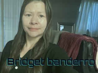 Bridget_banderro