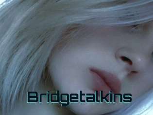 Bridgetalkins