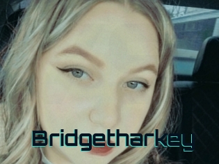 Bridgetharkey