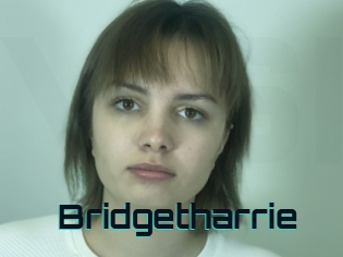 Bridgetharrie