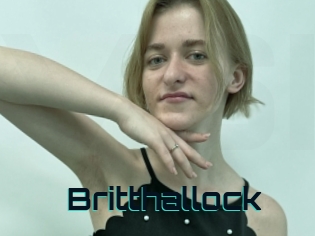 Britthallock