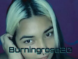 Burningrose20