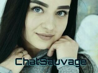 ChatSauvage