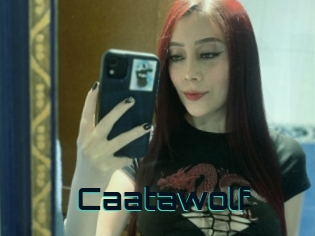 Caatawolf