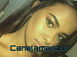 Canelamanzur