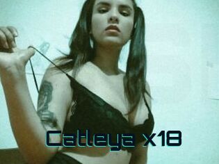 Catleya_x18