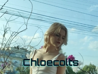 Chloecolts