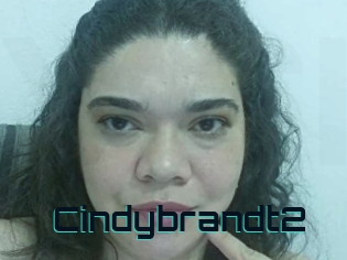 Cindybrandt2