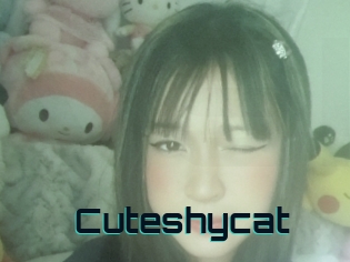 Cuteshycat