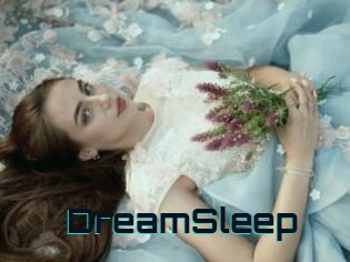 DreamSleep