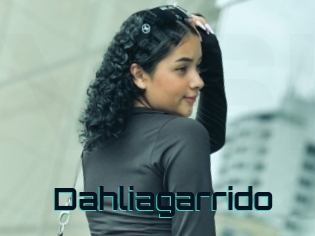 Dahliagarrido