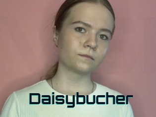 Daisybucher