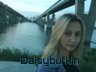 Daisybufkin