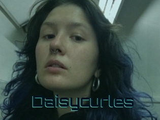 Daisycurles