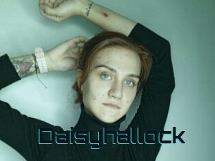 Daisyhallock